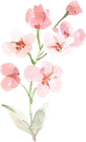 Watercolor Flowers illustration